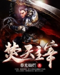 焚天主宰境界划分