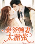 秦爷缠妻太嚣张