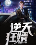 逆天狂婿龙王殿