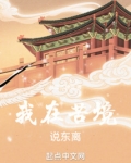 我在苦境说东离