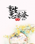 重生恶婆婆txt