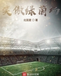 笑傲绿茵场北国夏