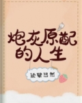 炮灰原配的人生(快穿)百度云