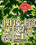 仿真牵牛花