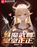 魅魔是什么意思?