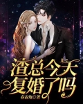渣总追妻火葬场全文免费阅读238