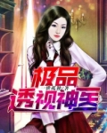 极品透视神医小说