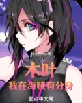 木叶我在海贼有分身无防盗