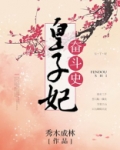 皇子妃奋斗史