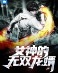 女神的无敌狂医全文免费阅读