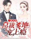 一胎双宝:总裁爹地宠翻天