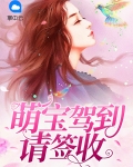 萌宝驾到请签收免费阅读