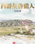 星兽猎人简介