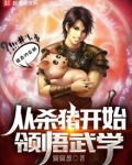 从杀猪开始领悟武学下载