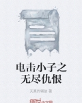 电击小子之无尽仇恨第四季小说
