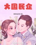 大国民企起点