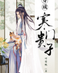 穿成寒门贵子
