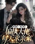 明撩！暗诱！偏执大佬每天求亲亲