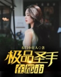 极品圣手在都市