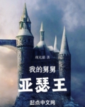 我的舅舅亚瑟王