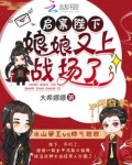 启禀陛下,娘娘又上战场了! 第948章