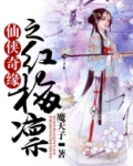仙侠奇缘之红梅凛 魔天子