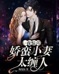 一夜惊喜:娇蛮小妻太缠人