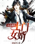 女总裁的上门女婿免费正版