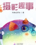 摄影趣事小说