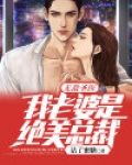 无敌圣医:我老婆是绝美总裁