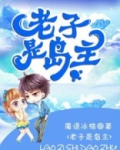 老子是岛主