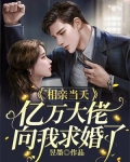 相亲当天,亿万大佬向我求婚了