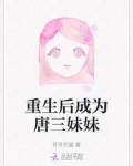 重生后成为唐三妹妹的小说