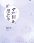 唯愿此生不相识 顾轻筠全文免费阅读