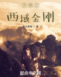 重生西域大明王小说