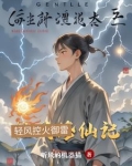 轻风小说