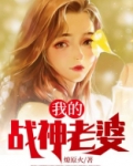 我的战神老婆视频