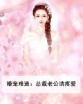 暖婚蜜爱,总裁老公太宠我
