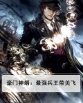 豪门神婿：最强兵王带美飞