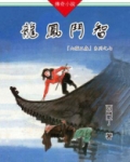 山猫王森（07）龙凤斗智