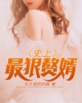 史上最狠赘婿小说