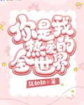 你是我的全世界小说免费阅读