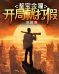 鉴宝金瞳起点