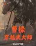 曹操穿越武大郎 神枪老飞侠下载