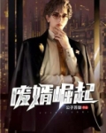 废婿崛起
