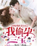 替婚嫁给残疾霸总 小说