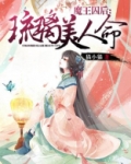 魔王囚后琉璃美人命是哪一年的小说
