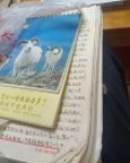 妈妈的日记作文800字