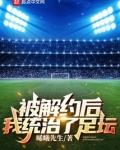 被解约后我统治了足坛小说