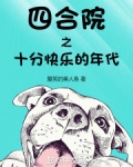 电视剧四合院的幸福生活